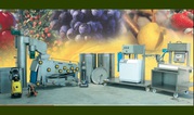 Оборудование (линия) для производства соков и джемов из свежих фруктов