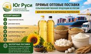 Сельхозпродукция оптом из России - масла, шрот, мука в Узбекистане